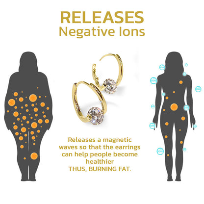 🔥LAST DAY SALE-80% OFF 丨❤️CZTICLE®Lymphvity MagneTherapy Germanium Earrings